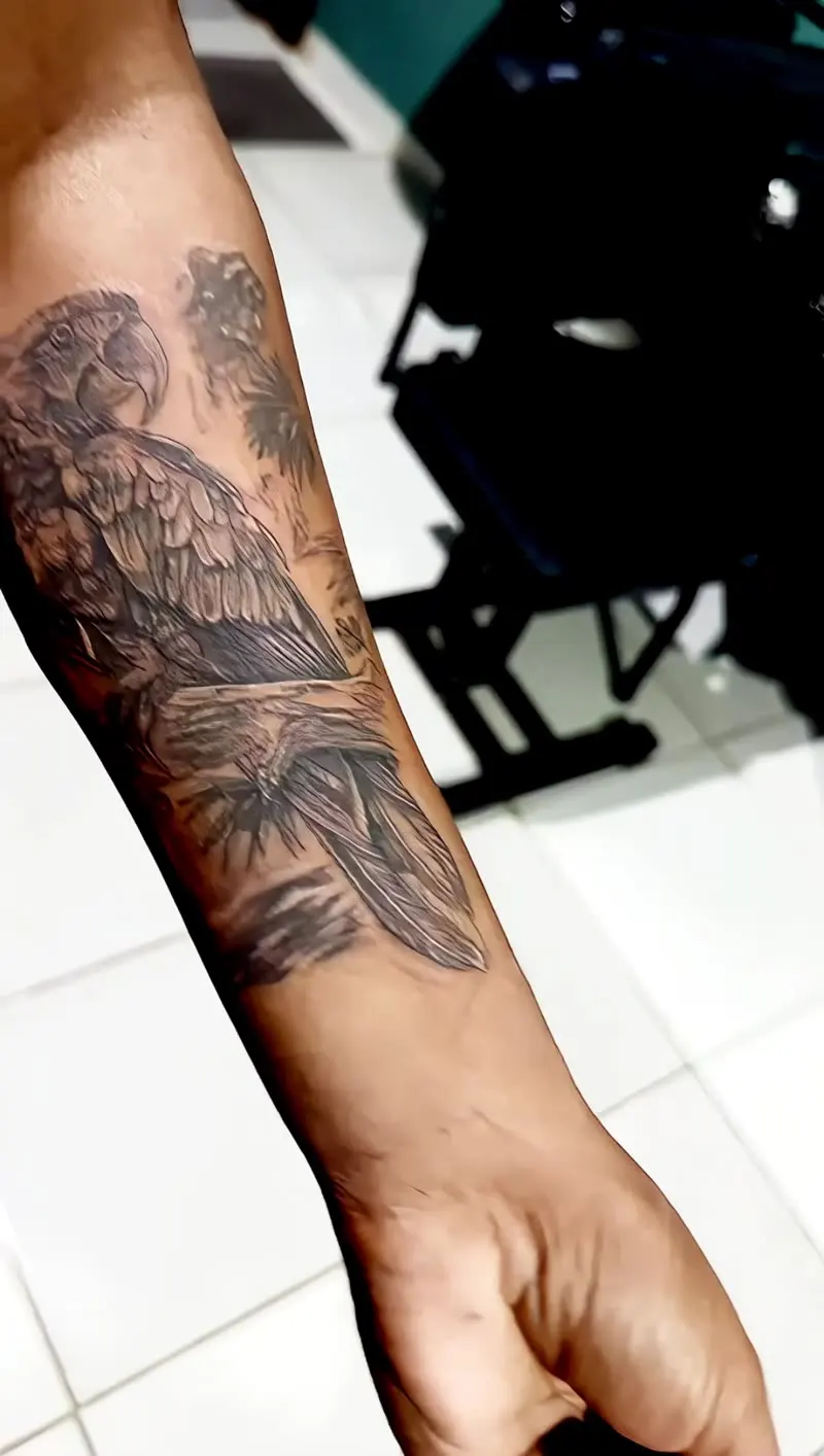 Tatuagem colorida de arara no antebraço, cores vibrantes